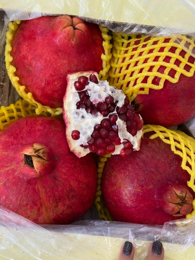 DP FRUITS