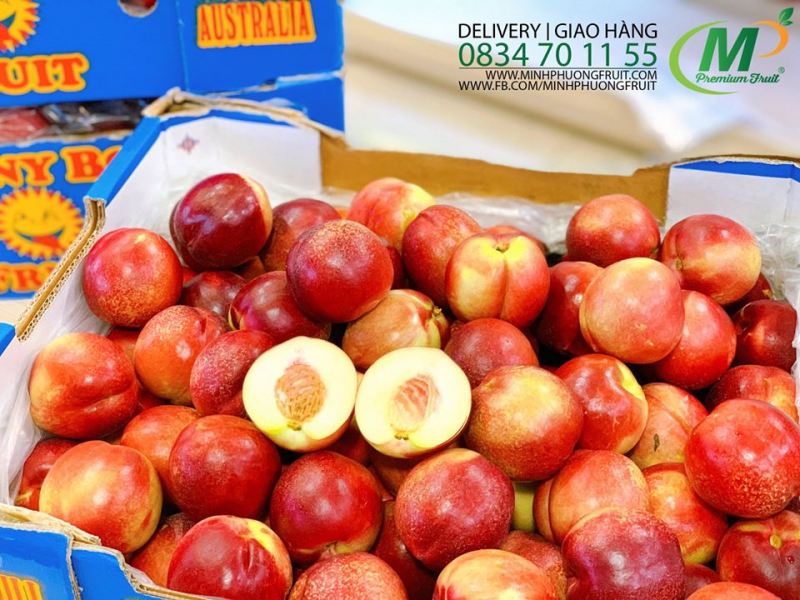 Trái cây Minh Phuong Fruit có nguồn gốc rõ ràng, có tờ khai và giấy tờ nhập khẩu hoa quả đạt chuẩn