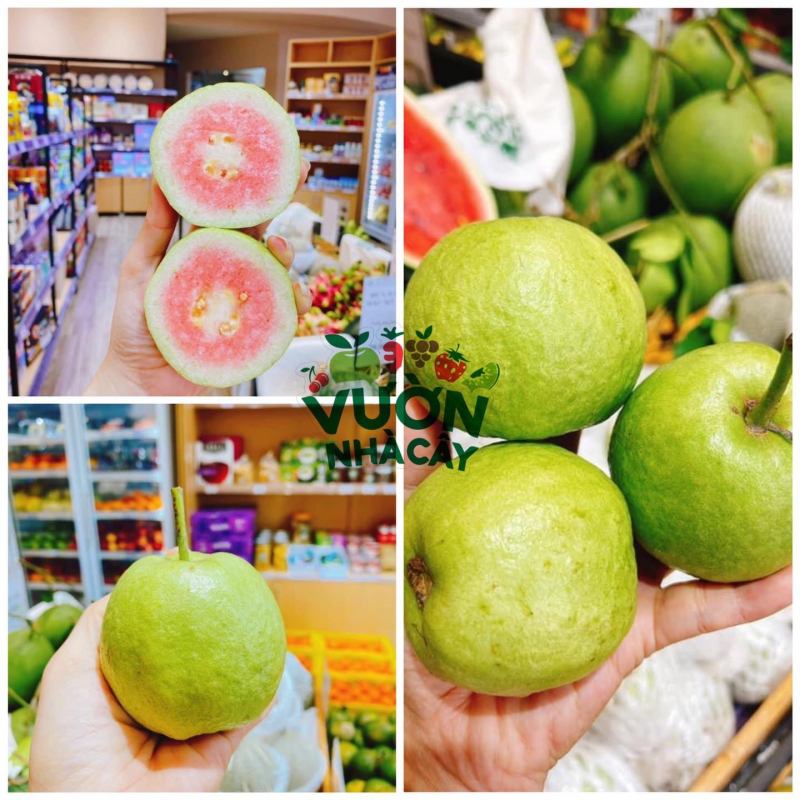 Trái cây nhập khẩu Quy Nhơn