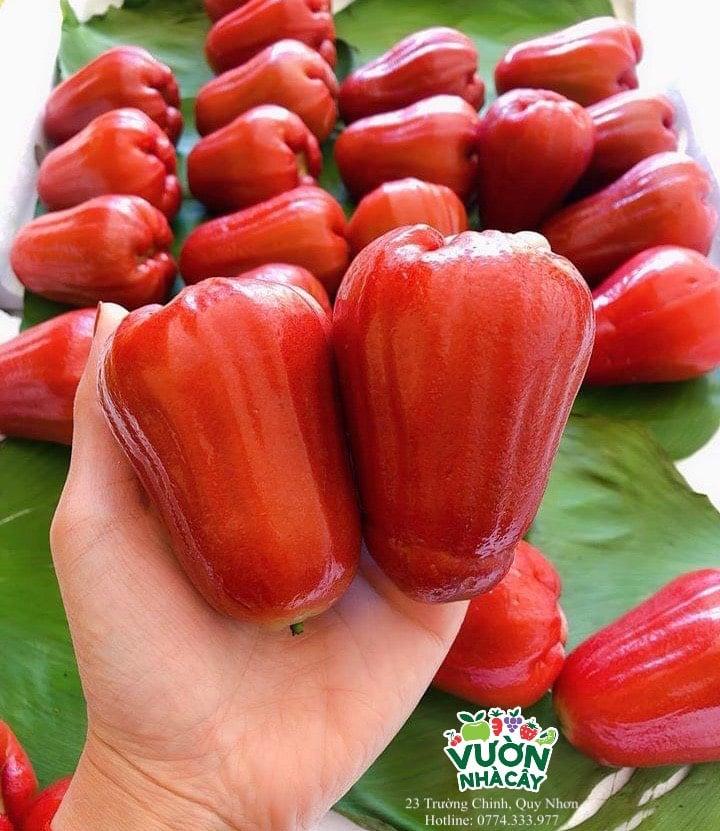 Trái cây nhập khẩu Quy Nhơn