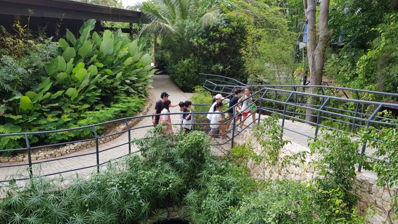 Trại hè tiếng Anh CIEC - Philippines