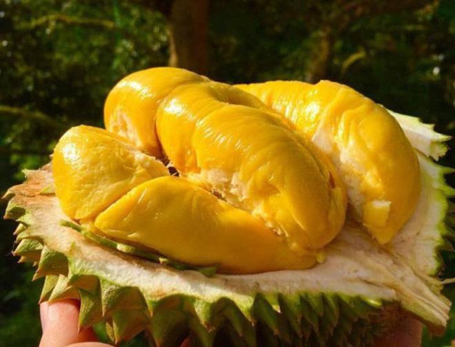 Trái sầu riêng có thể phòng bệnh trầm cảm