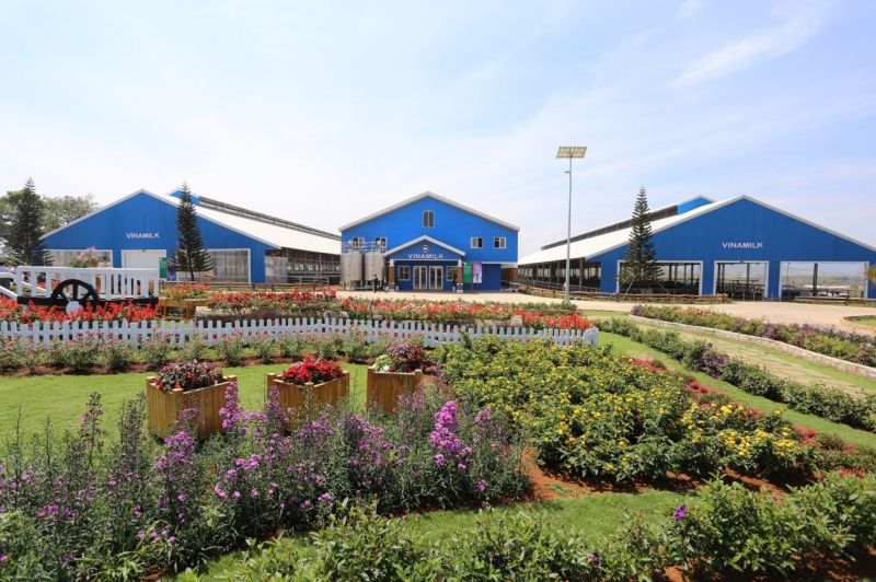 Vinamilk Organic Milk Farm
