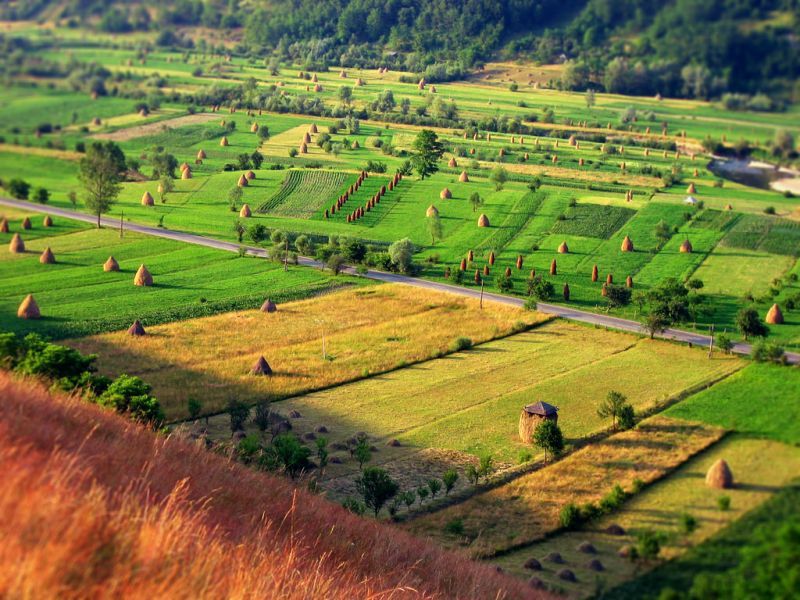 Trở về với những đồng quê yên bình