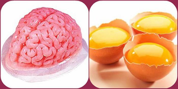 Trứng gà với óc lợn