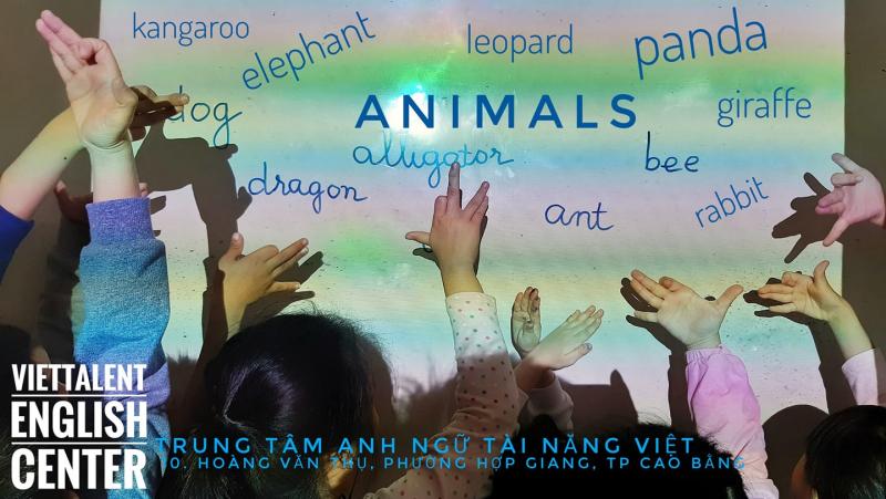 Trung Tâm Anh Ngữ Tài Năng Việt - Viettalent English Center