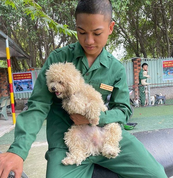 Trung tâm huấn luyện chó Vương Khuyển