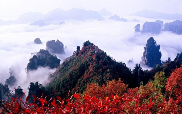 Mỗi mùa là mỗi sắc riêng