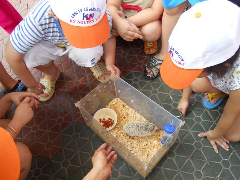 Trường Mầm non 27