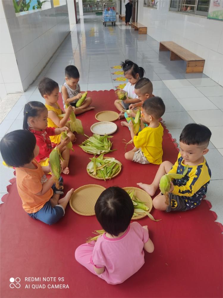 Trường Mầm non Anh Đào