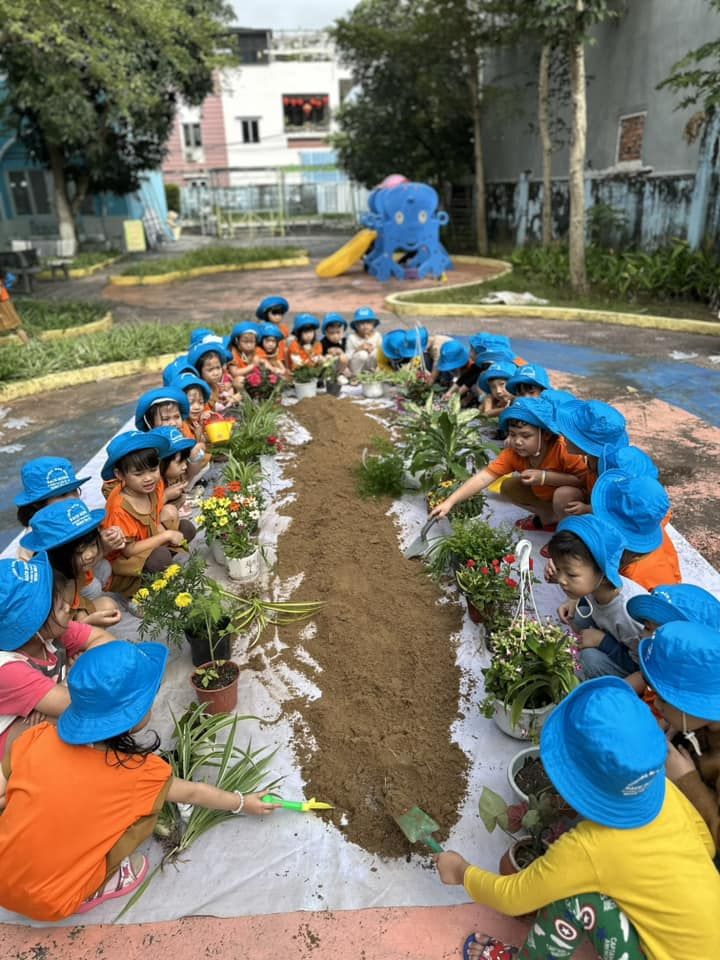 Trường Mầm non Bạch Dương