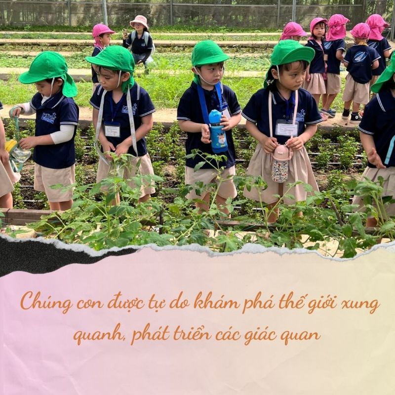Trường Mầm non Kaisei Đà Nẵng