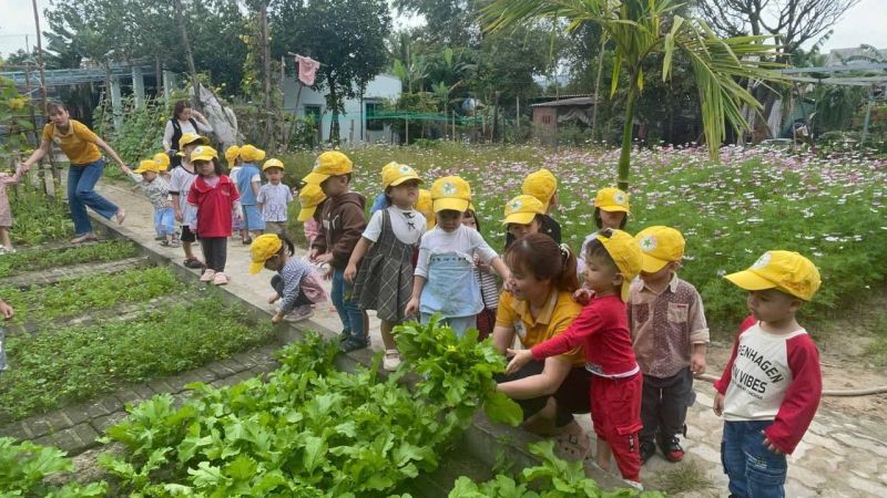 Trường mầm non Ngôi Sao Xanh