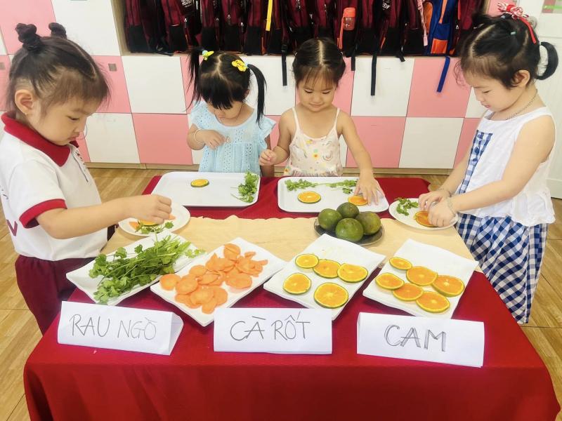 ﻿Redsun Kindergarten