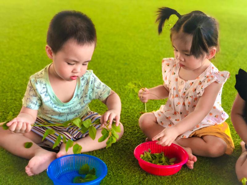 Trường mầm non Tiny Bear - Việt Trì