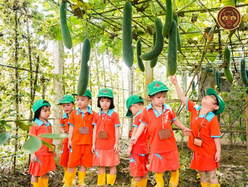 Trường Mầm non tư thục Nguyễn Du