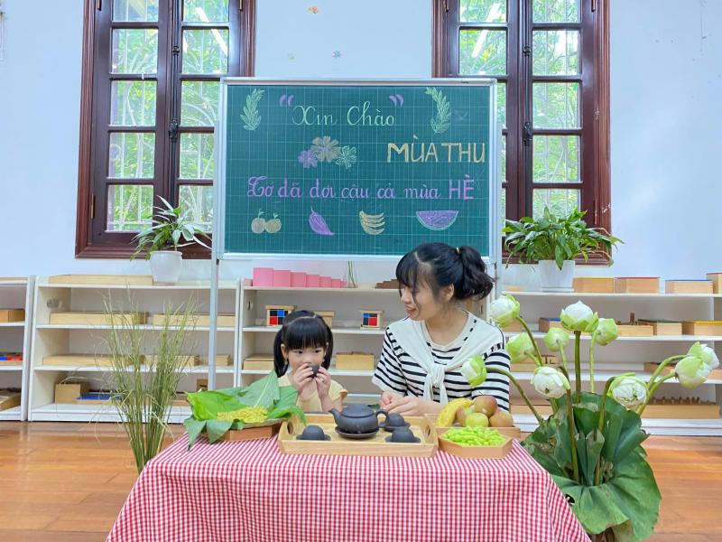 Mầm non Viet My Montessori
