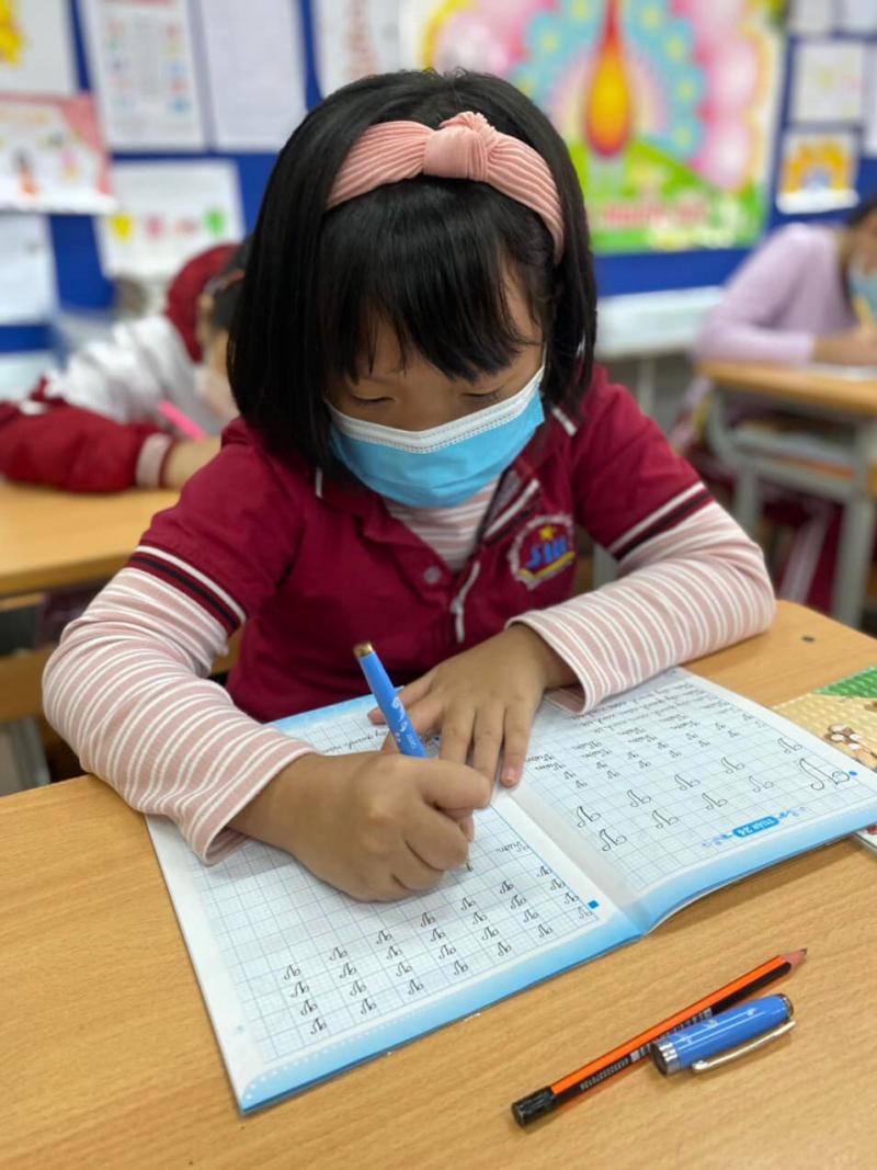 Trường phổ thông liên cấp Sao Mai