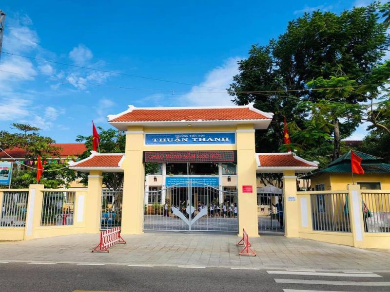Cây xà cừ