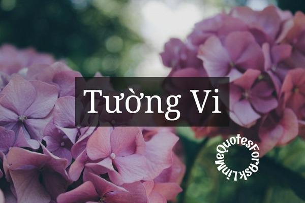 Tường Vi - tượng trưng cho sự cát tường, an lành, hạnh phúc.