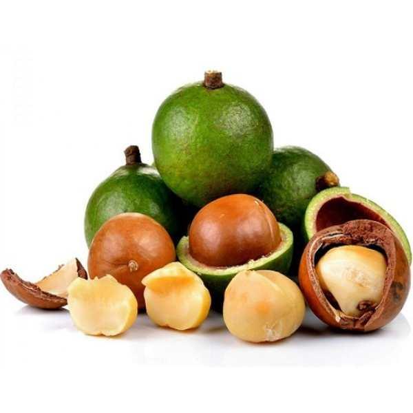 Hỗ Trợ Vấn Đề Thiếu Máu