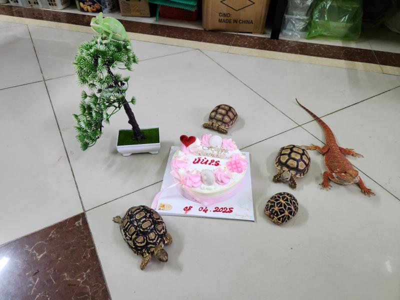 Ú Ù Pet Shop