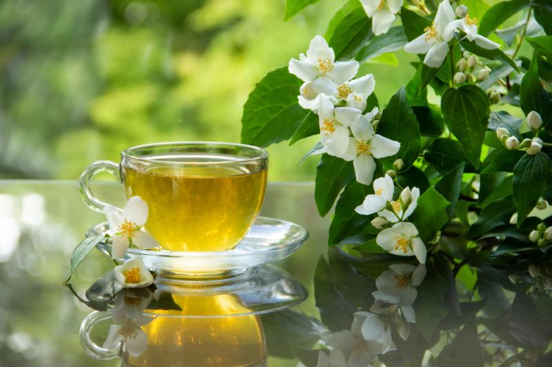 Uống trà thưởng nguyệt
