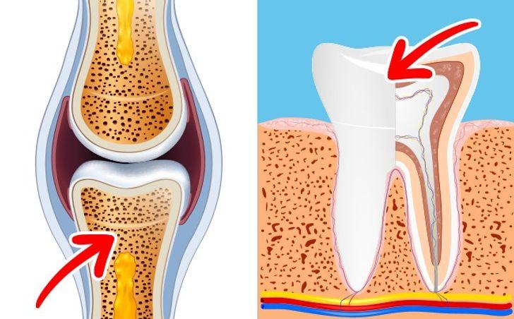 Vitamin D giúp hấp thụ canxi