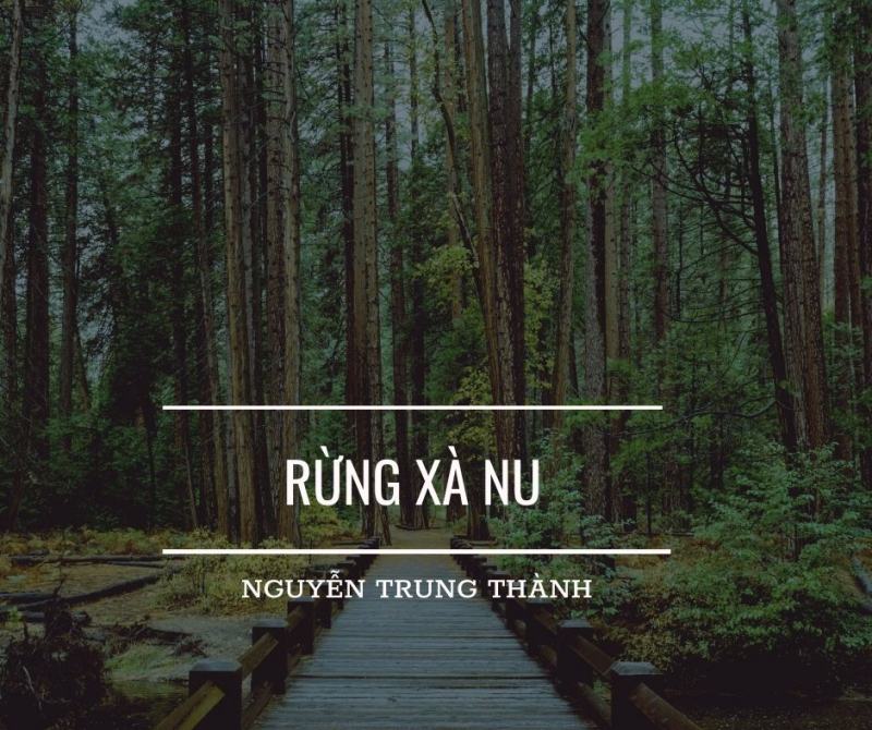 Hình minh họa