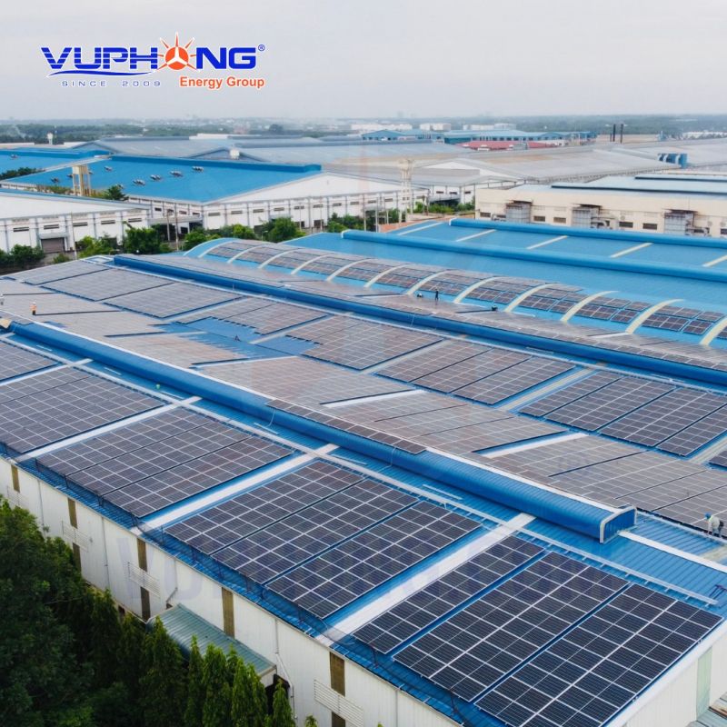 Vũ Phong Energy Group