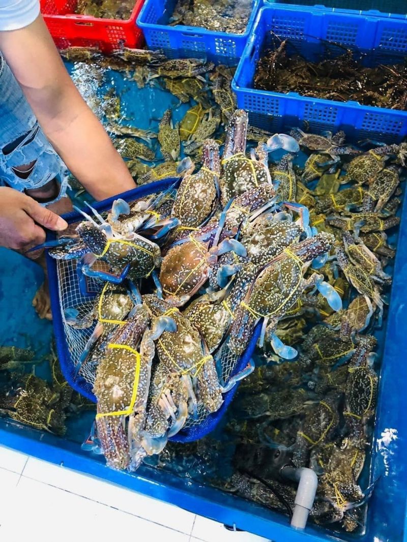 Vựa hải sản Gia Hưng