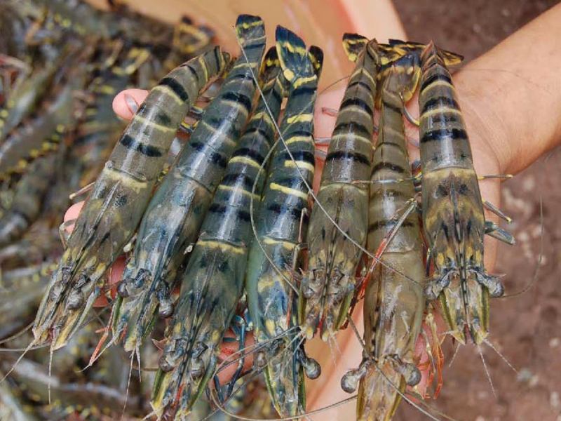 Vựa hải sản Tư Ốc Lầu