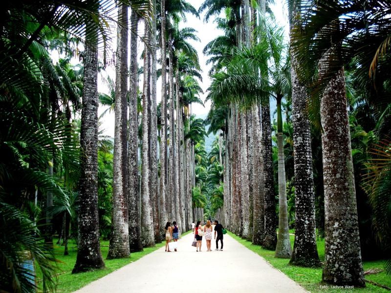 Vườn Jardim Botanico