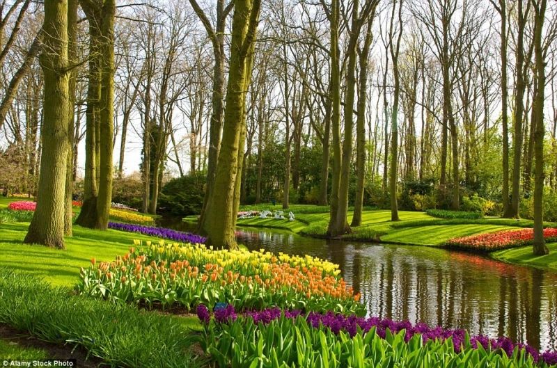 Vườn Keukenhof