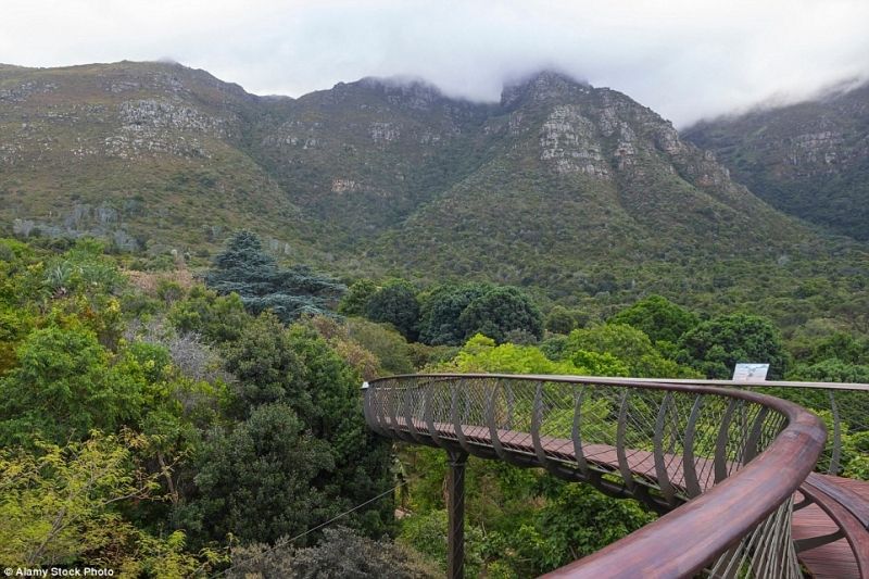 Vườn thực vật quốc gia Kirstenbosch