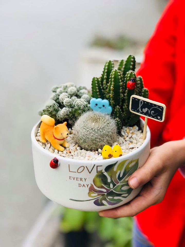 Terrarium xinh xắn tại Xanh Home