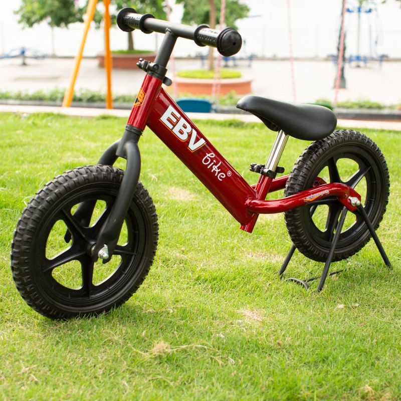 Xe thăng bằng EBV