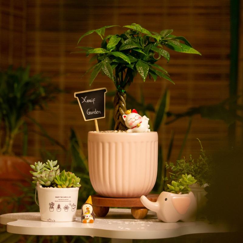 Xoaif.Garden