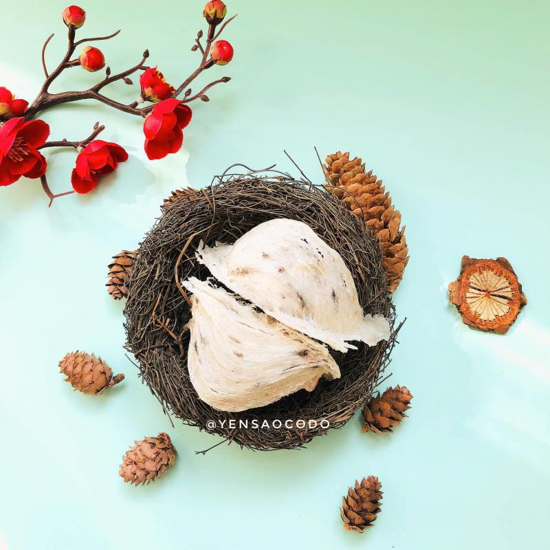 Yến Sào Cố Đô