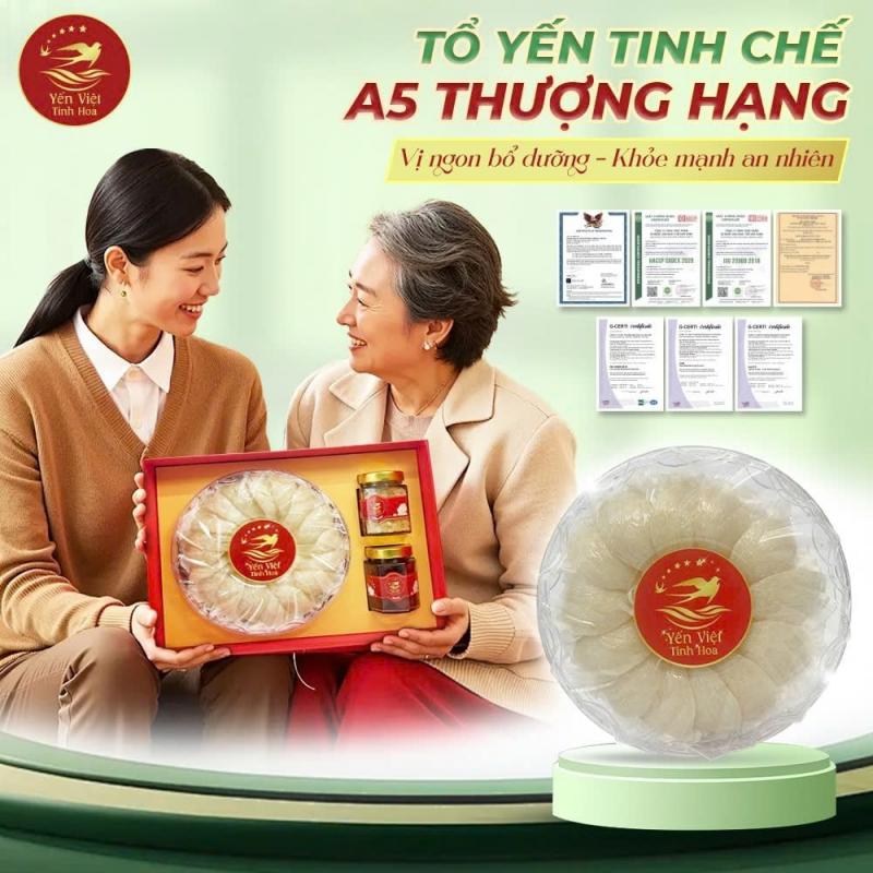 Yến Việt Tinh Hoa