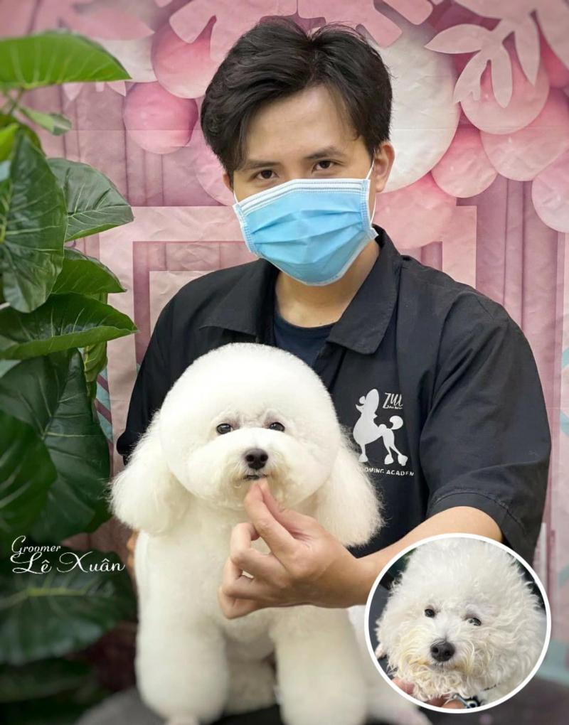 Zuli - Pet Salon & Store
