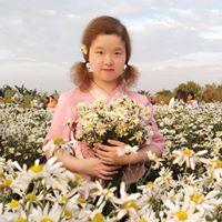 Hoa Anh Đào