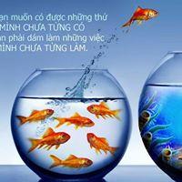 Hòa Lê